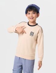 Áo nỉ cổ tròn bé trai