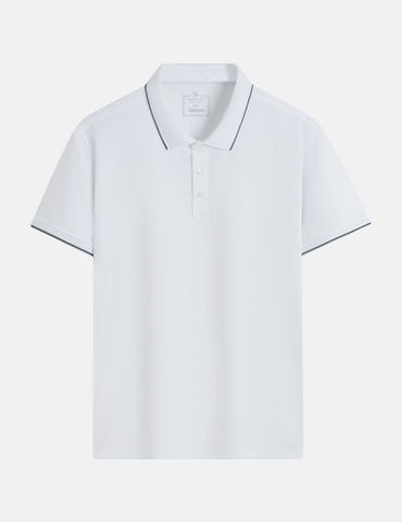 Áo polo nam ngắn tay cổ bo