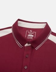 Áo polo ngắn tay nam thêu logo tay phối nẹp