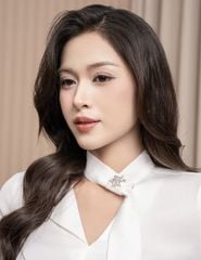 Áo sơ mi dài tay nữ cổ V