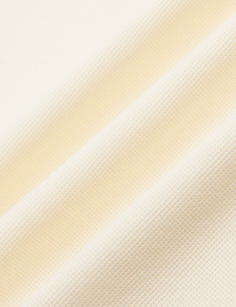 Áo polo croptop nữ hình in trước ngực