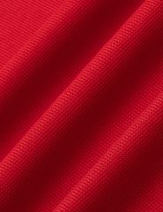 Áo polo nữ ngắn tay hình in trước ngực