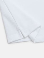 Áo polo ngắn tay nữ viền cổ