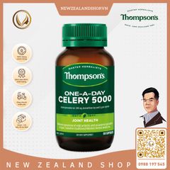 Viên uống giảm đau nhức khớp, giảm đau gout Thompson’s One-A-Day Celery 5000mg 60 viên
