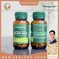 Viên uống giảm đau nhức khớp, giảm đau gout Thompson’s One-A-Day Celery 5000mg 60 viên