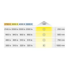 Đèn led dây Loox5 LED 3145 24V 3000K 6W/m 160 LEDs/m Hafele 833.76.226
