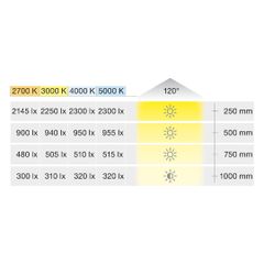 Đèn led dây Loox5 LED 3145 24V 4000K 6W/m 160 LEDs/m Hafele 833.76.227
