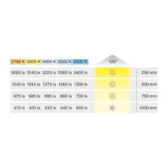 Đèn led dây Loox5 LED 3148 24V 3000K 9.5W/m 160LEDs/m Hafele 833.76.256