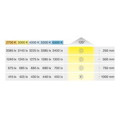 Đèn led dây Loox5 LED 3148 24V 4000K 9.5W/m 160LEDs/m Hafele 833.76.257