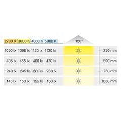 Đèn led dây Loox5 LED 3142 24V 3000K 3W/m 160 LEDs/m Hafele 833.76.216