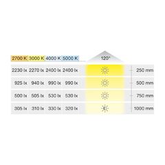 Đèn LED dây Hafele 24V, 8mm, 3000K, 9.6W/m, 5 mét 833.76.636