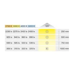 Đèn LED dây Hafele 24V, 8mm, 4000K, 9.6W/m, 5 mét 833.76.637