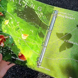  [ORDER] PILIPALA - BINDER HEALING XANH LÁ 