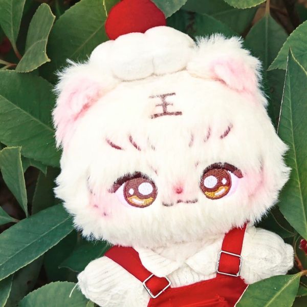  [PRE-ORDER] TỔ SỐ LIỆU - MỤC CHỈ THỪA - DOLL HỔ 15CM 