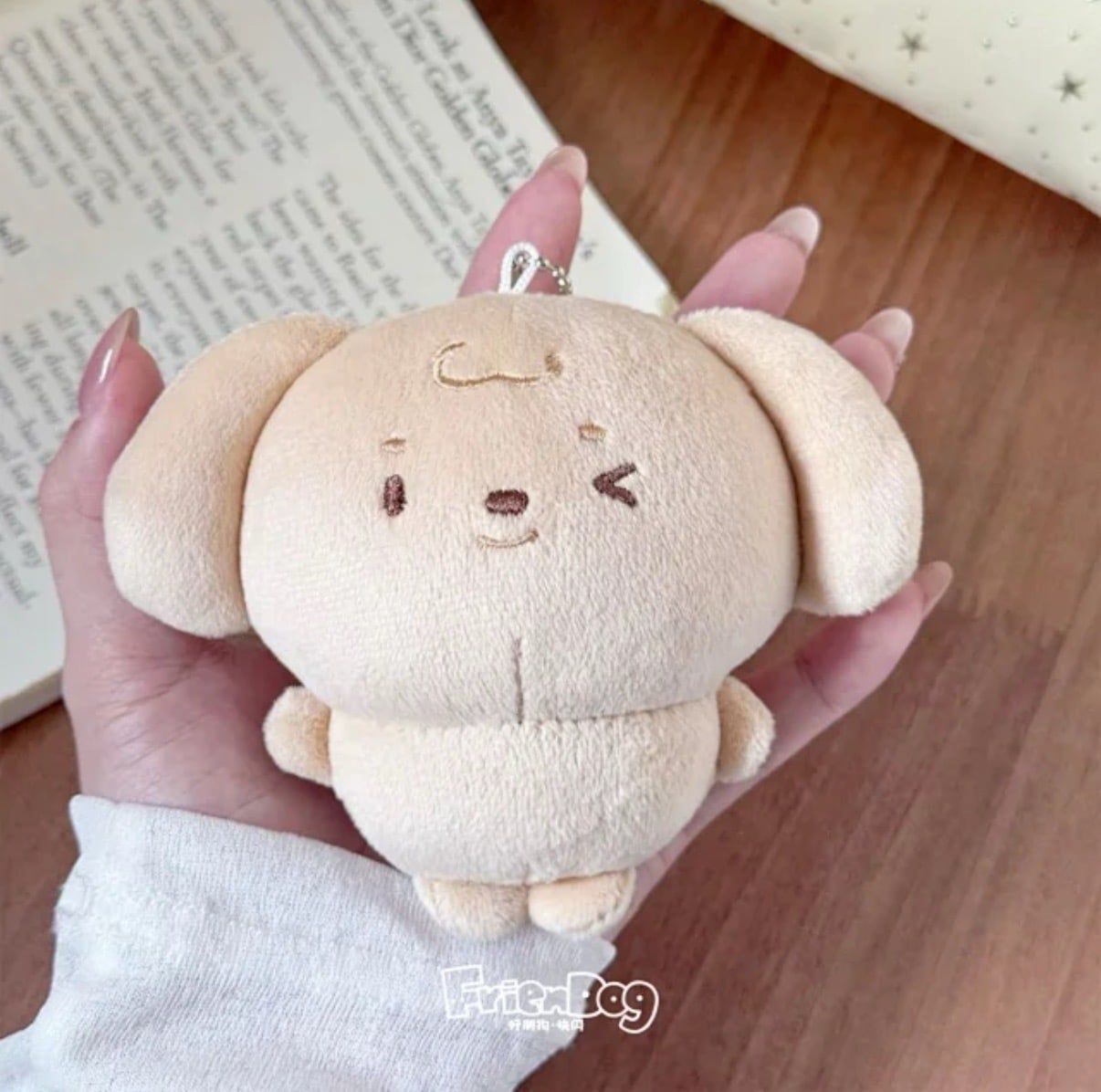  [PRE-ORDER] HẬU VIỆN HỘI - TRƯƠNG TRẠCH VŨ - GOODS POP UP FRIENDOG 