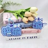  [ORDER] TỬ DU - TÚI VẢI + TÚI PVC + NƠ + NAMETAG 