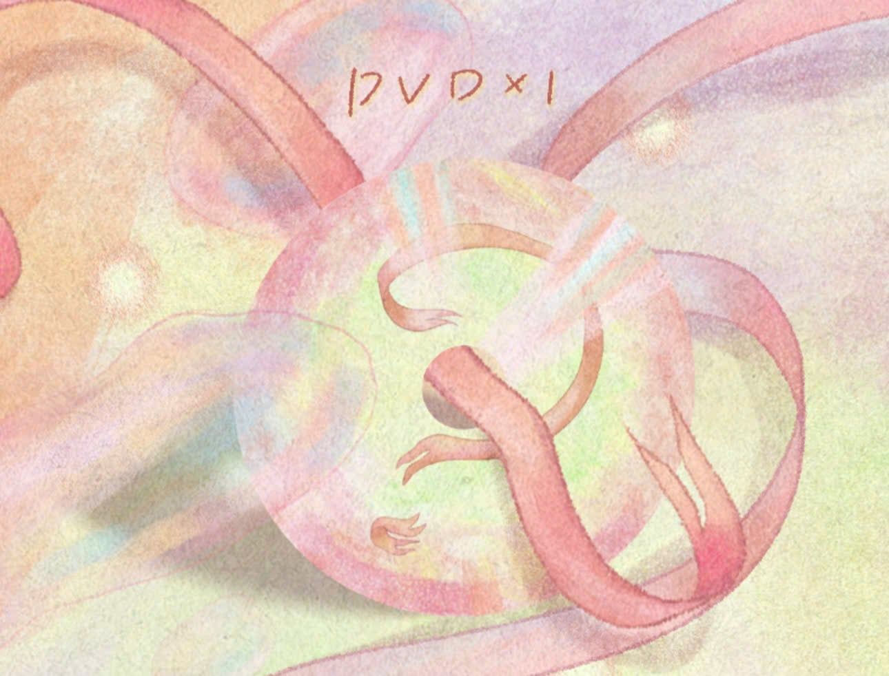  [ORDER] TNT - OFFICIAL - GOODS CONCERT LOVE YOU LOVE ME CHẶNG QUÝ DƯƠNG - KHÔNG CAO HỘI 