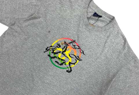  Vintage 90s Stussy Chanel Logo Rasta Lion Tee Grey 