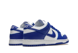  Nike Dunk Low SP Kentucky 