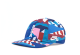  Nike SB x Parra USA Olympics Team Federation Kit Skate Cap 