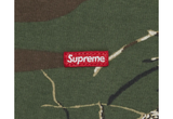  Supreme Small Box Tee Branch Wooland Camo (FW22) 