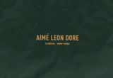  Aimé Leon Dore Packable Tote Green 