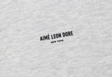  Aimé Leon Dore Micro Din Logo Hoodie Silver Mix 