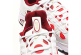  Nike Air Max Triax 96 Nippon 