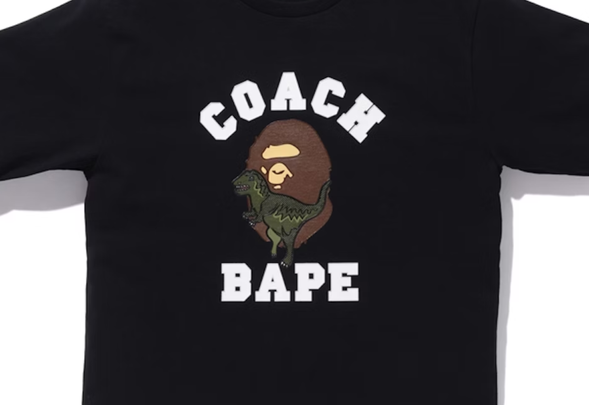 BAPE x Coach Rexy Tee Black – THEAIRSAIGON®