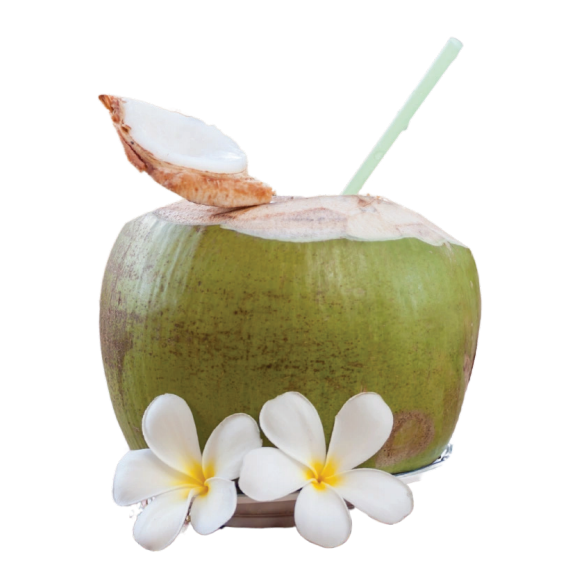  Dừa Tươi/ Fresh Coconut/ 鲜椰子水 
