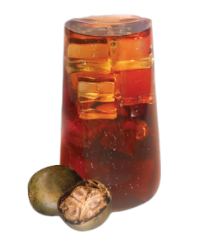  La Hán Quả/ Luo Han Guo (Monk Fruit Tea)/ 羅漢果 