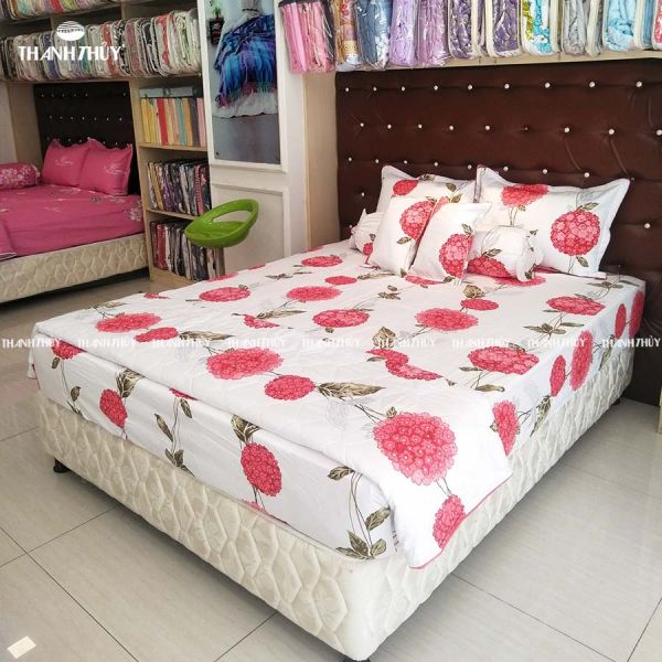 Vỏ Gối Lẻ Cotton Galaxy Satin 224 
