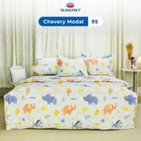  Vỏ Gối Lẻ Lụa Chevery Modal 95 