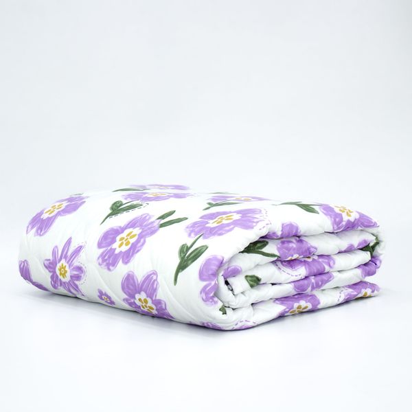  Chăn Lẻ Microfiber Chevery Họa Tiết 58 