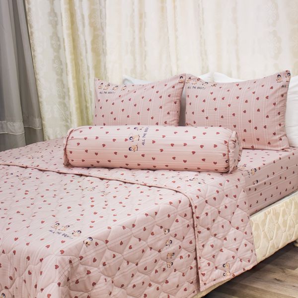  Chăn Lẻ Microfiber Chevery Họa Tiết 65 