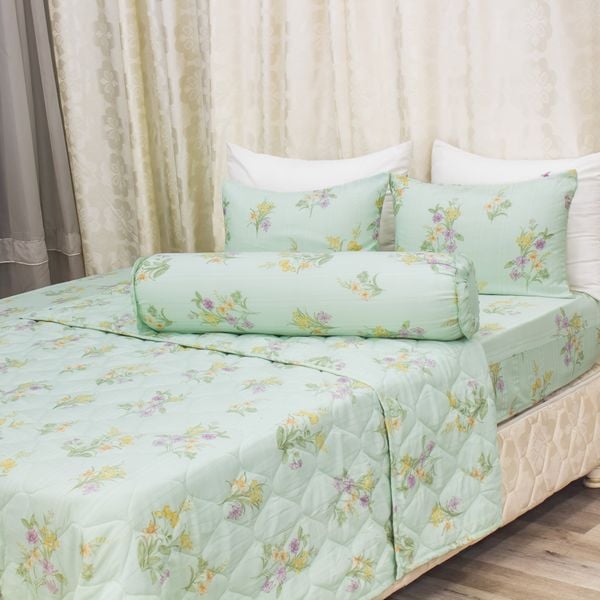  Chăn Lẻ Microfiber Chevery Họa Tiết 66 