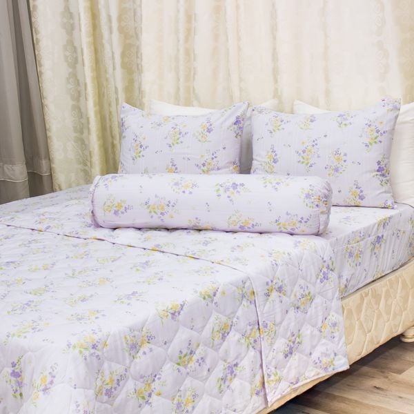 Chăn Lẻ Microfiber Chevery Họa Tiết 67 