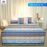  Bộ Ga Bọc Cotton Guni Họa Tiết 3 