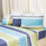  Bộ Ga Bọc Cotton Guni Họa Tiết 64 