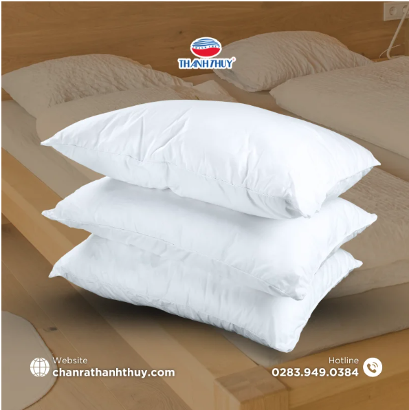  Ruột Gối Tàu Hỏa, Xe Lửa, Máy Bay 