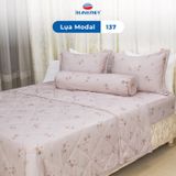  Bộ Ga Bọc Lụa Modal 137 