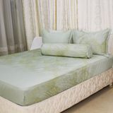  Bộ Ga Bọc Lụa Modal 155 