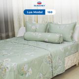  Bộ Ga Bọc Lụa Modal 160 