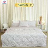  Vỏ Gối Lẻ Lụa Modal 57 