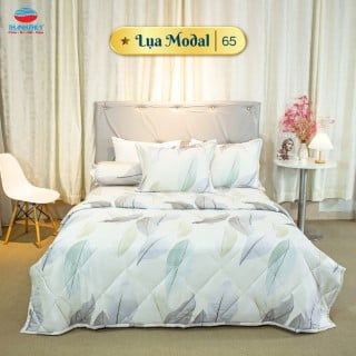  Bộ Ga Bọc Lụa Modal 65 
