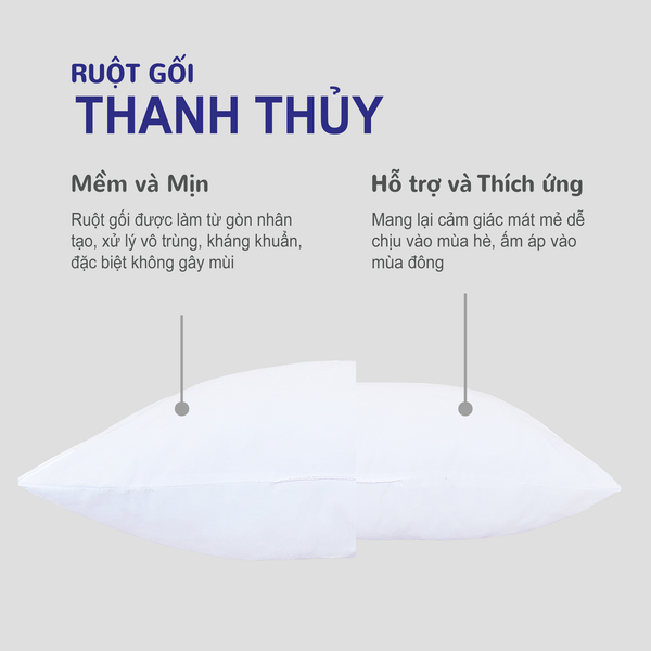  Combo Ruột Gối Thanh Thủy 