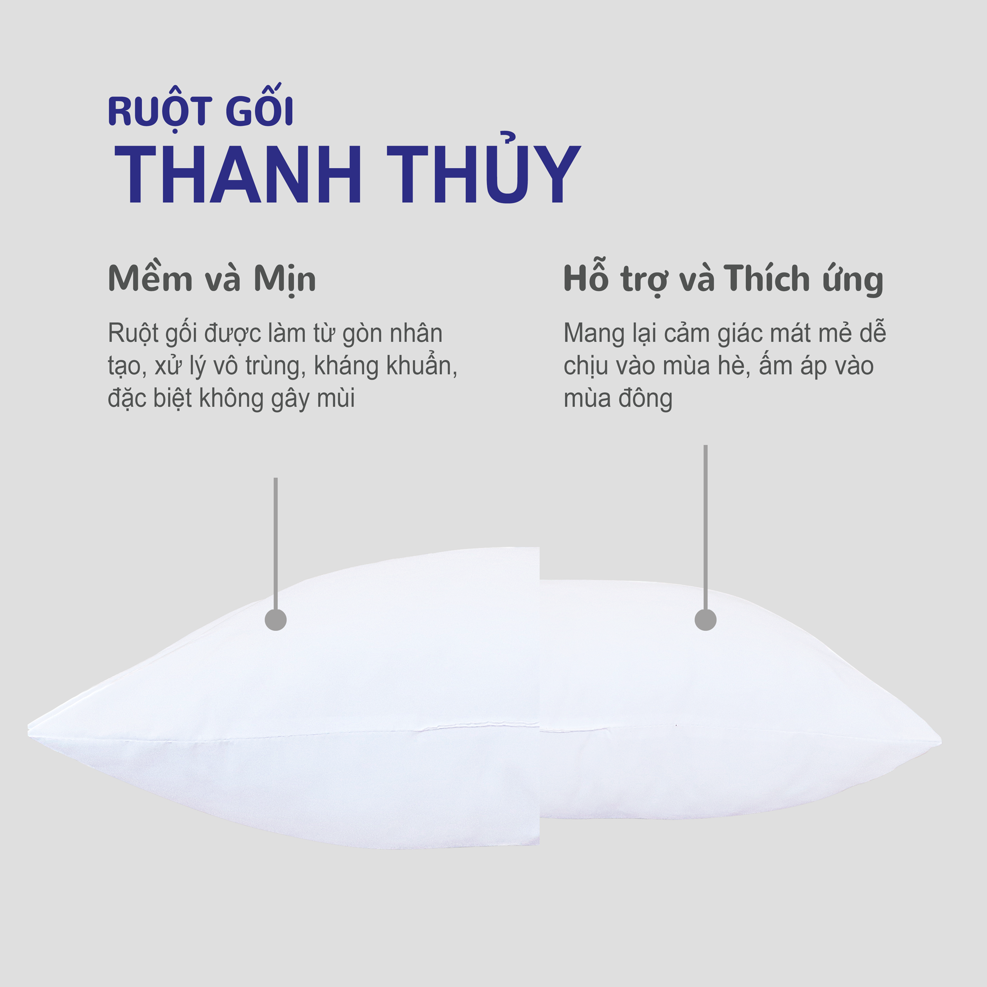  Combo Ruột Gối Thanh Thủy 