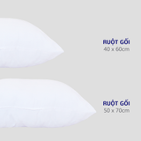  Combo Ruột Gối Thanh Thủy 