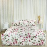  Bộ Ga Bọc (Hộp) Vanila (Vỏ Gối Nhí) 451 