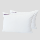  Combo Ruột Gối Thanh Thủy 